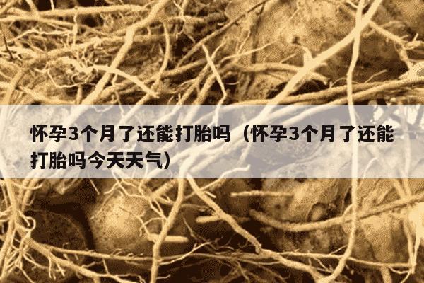 怀孕3个月了还能打胎吗（怀孕3个月了还能打胎吗今天天气）