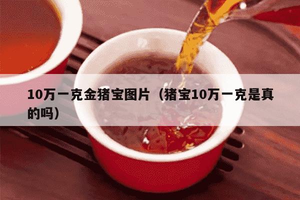 10万一克金猪宝图片（猪宝10万一克是真的吗）