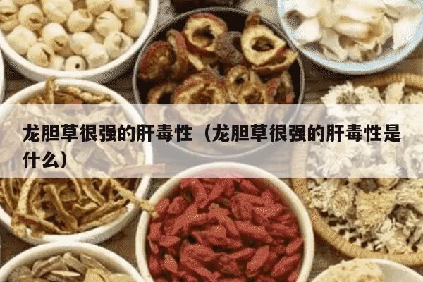龙胆草很强的肝毒性（龙胆草很强的肝毒性是什么）