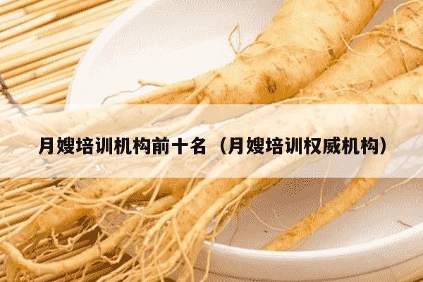 月嫂培训机构前十名（月嫂培训权威机构）