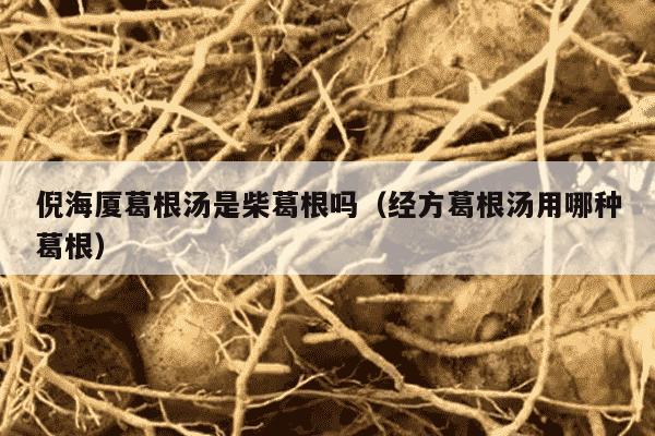 倪海厦葛根汤是柴葛根吗（经方葛根汤用哪种葛根）