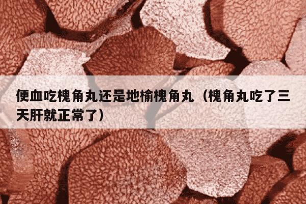 便血吃槐角丸还是地榆槐角丸（槐角丸吃了三天肝就正常了）