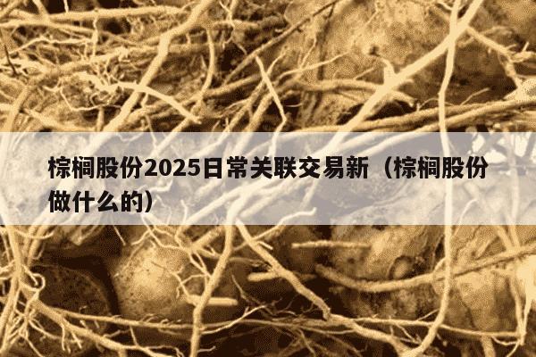 棕榈股份2025日常关联交易新（棕榈股份做什么的）