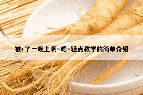 被c了一晚上啊～嗯～轻点教学的简单介绍