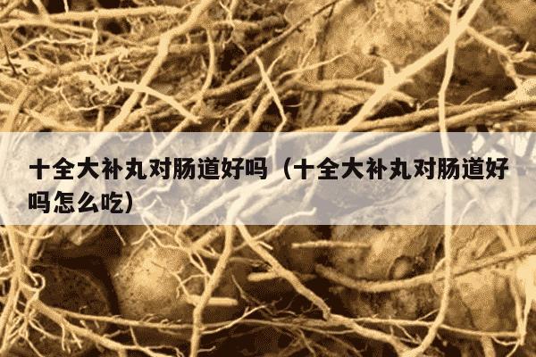 十全大补丸对肠道好吗（十全大补丸对肠道好吗怎么吃）