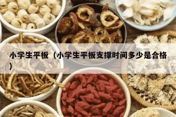 小学生平板（小学生平板支撑时间多少是合格）