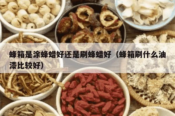 蜂箱是涂蜂蜡好还是刷蜂蜡好（蜂箱刷什么油漆比较好）