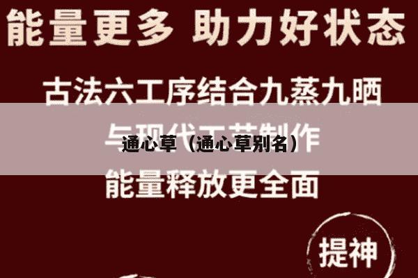 通心草（通心草别名）