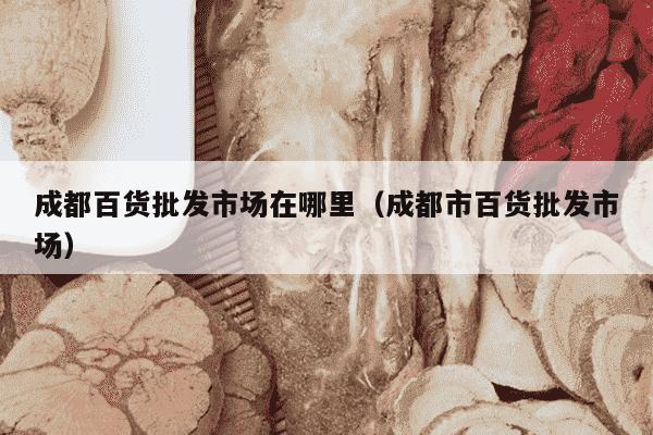 成都百货批发市场在哪里（成都市百货批发市场）