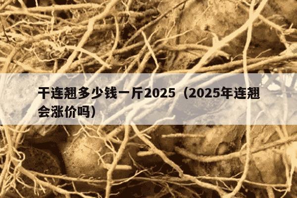 干连翘多少钱一斤2025（2025年连翘会涨价吗）