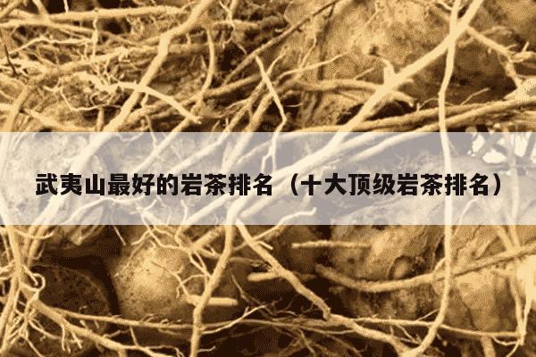 武夷山最好的岩茶排名（十大顶级岩茶排名）