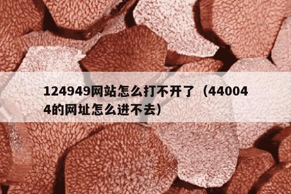 124949网站怎么打不开了（440044的网址怎么进不去）