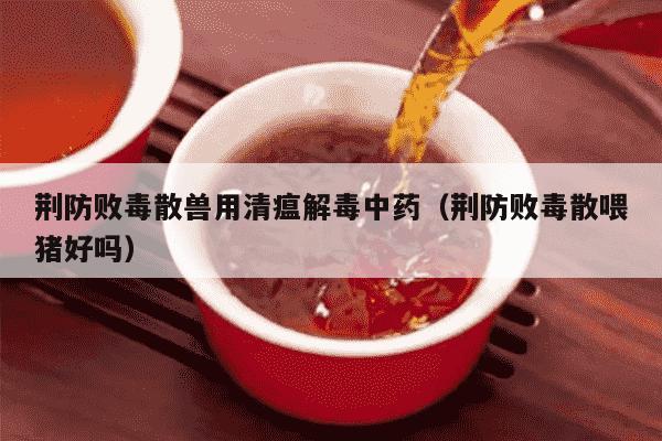 荆防败毒散兽用清瘟解毒中药（荆防败毒散喂猪好吗）