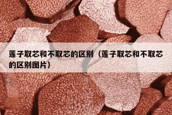 莲子取芯和不取芯的区别（莲子取芯和不取芯的区别图片）