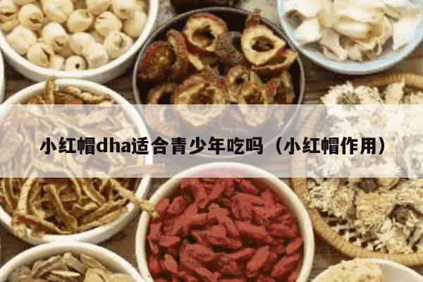 小红帽dha适合青少年吃吗（小红帽作用）