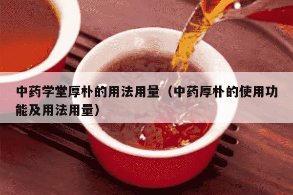 中药学堂厚朴的用法用量（中药厚朴的使用功能及用法用量）