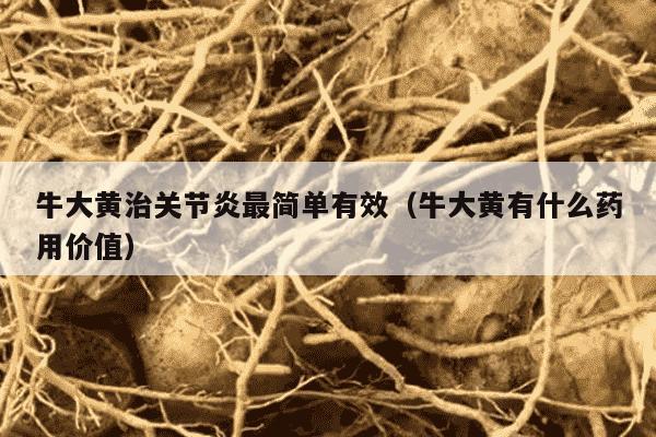 牛大黄治关节炎最简单有效（牛大黄有什么药用价值）