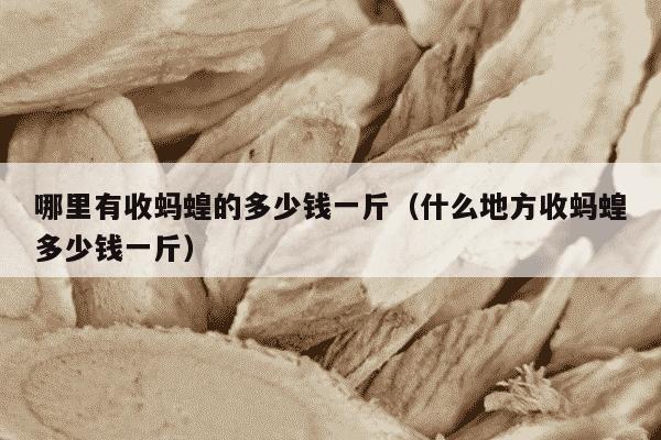 哪里有收蚂蝗的多少钱一斤（什么地方收蚂蝗多少钱一斤）