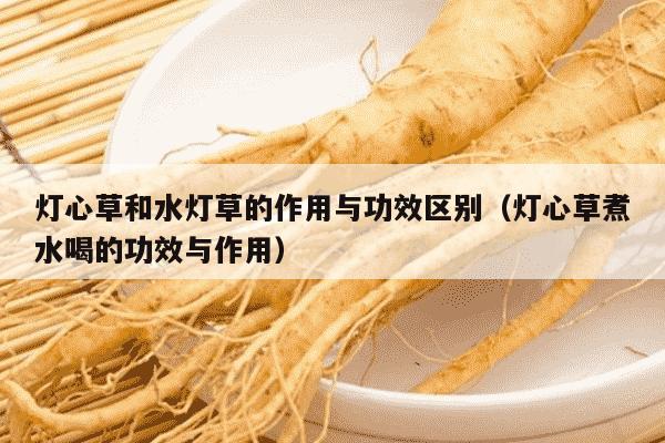 灯心草和水灯草的作用与功效区别（灯心草煮水喝的功效与作用）