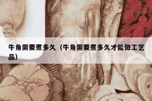 牛角需要煮多久（牛角需要煮多久才能做工艺品）