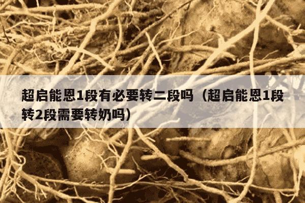 超启能恩1段有必要转二段吗（超启能恩1段转2段需要转奶吗）