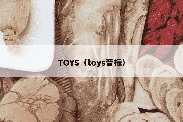 TOYS（toys音标）