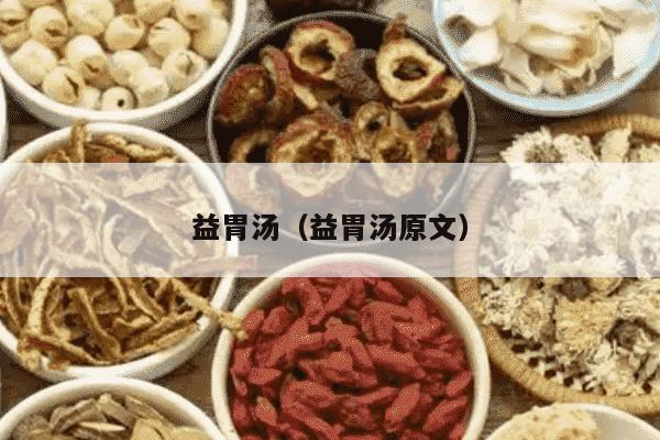 益胃汤（益胃汤原文）