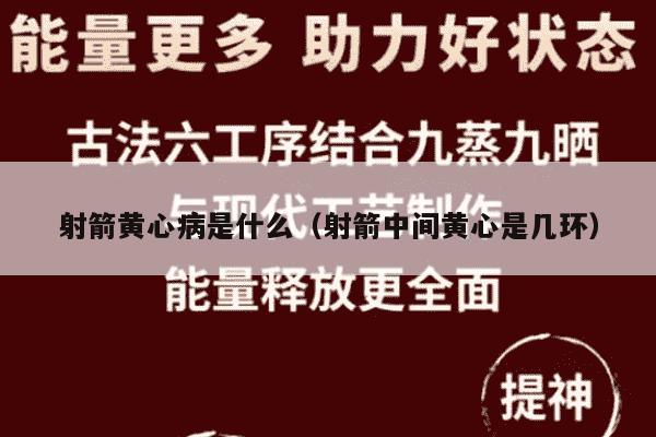 射箭黄心病是什么（射箭中间黄心是几环）