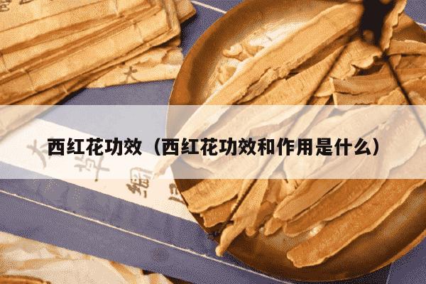 西红花功效（西红花功效和作用是什么）