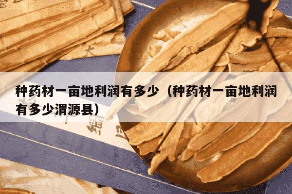 种药材一亩地利润有多少（种药材一亩地利润有多少渭源县）