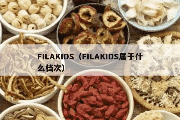 FILAKIDS（FILAKIDS属于什么档次）