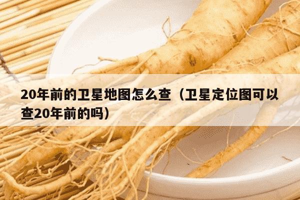 20年前的卫星地图怎么查（卫星定位图可以查20年前的吗）