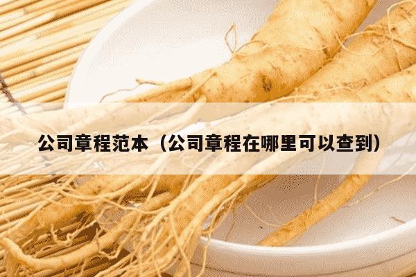 公司章程范本（公司章程在哪里可以查到）