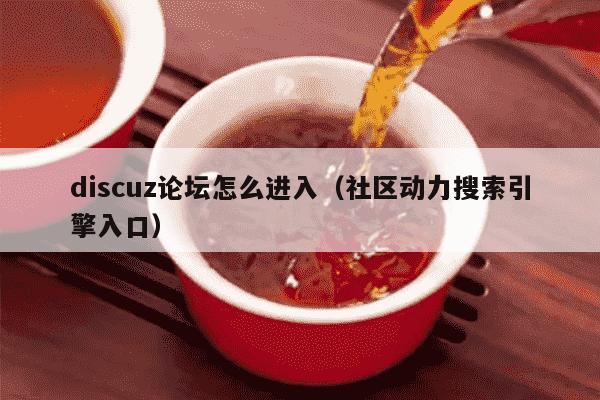 discuz论坛怎么进入（社区动力搜索引擎入口）