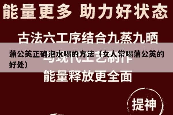 蒲公英正确泡水喝的方法（女人常喝蒲公英的好处）