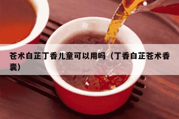 苍术白芷丁香儿童可以用吗（丁香白芷苍术香囊）