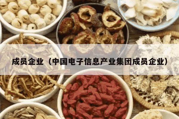 成员企业（中国电子信息产业集团成员企业）