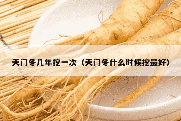 天门冬几年挖一次（天门冬什么时候挖最好）