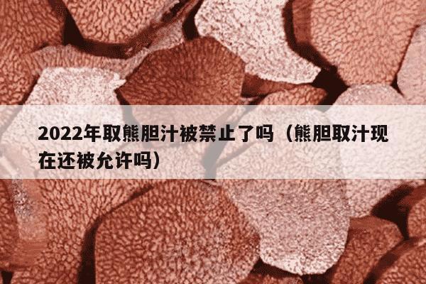 2022年取熊胆汁被禁止了吗（熊胆取汁现在还被允许吗）