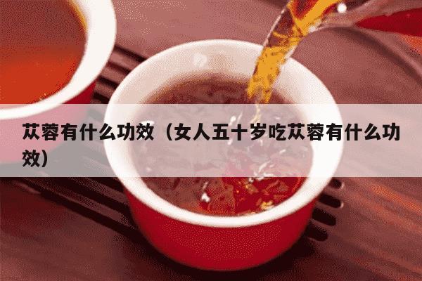 苁蓉有什么功效（女人五十岁吃苁蓉有什么功效）
