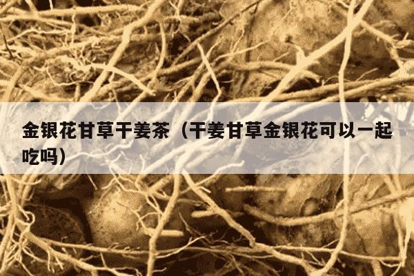 金银花甘草干姜茶（干姜甘草金银花可以一起吃吗）