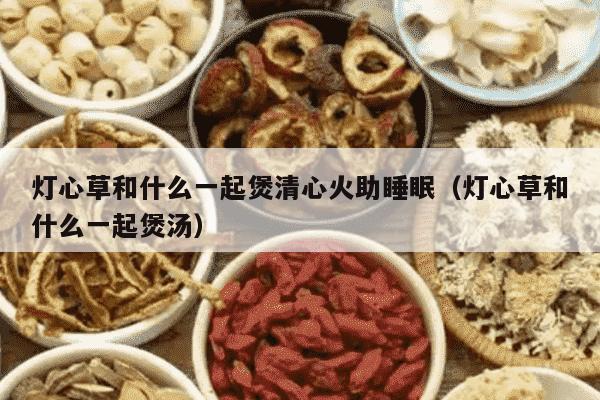 灯心草和什么一起煲清心火助睡眠（灯心草和什么一起煲汤）