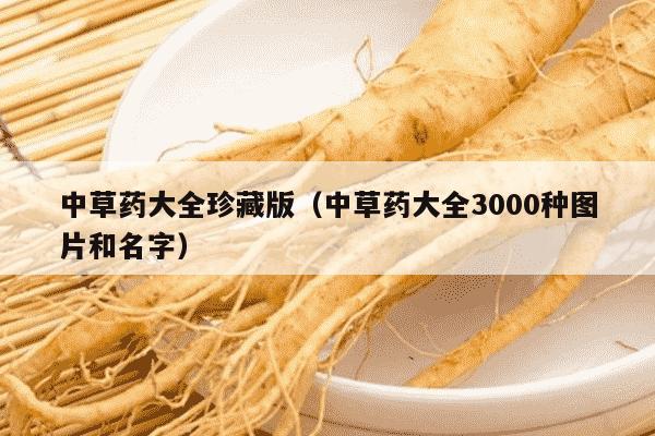 中草药大全珍藏版（中草药大全3000种图片和名字）