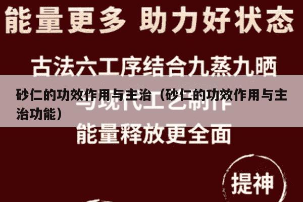 砂仁的功效作用与主治（砂仁的功效作用与主治功能）