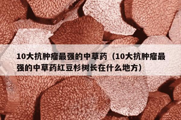 10大抗肿瘤最强的中草药（10大抗肿瘤最强的中草药红豆杉树长在什么地方）