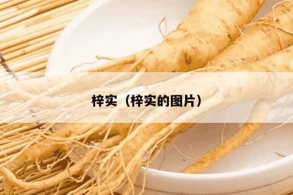 梓实（梓实的图片）