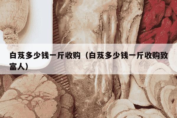 白芨多少钱一斤收购（白芨多少钱一斤收购致富人）