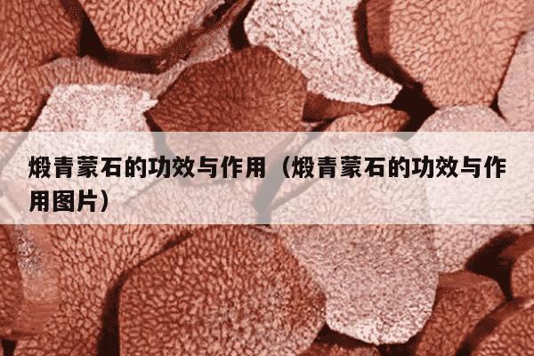 煅青蒙石的功效与作用（煅青蒙石的功效与作用图片）