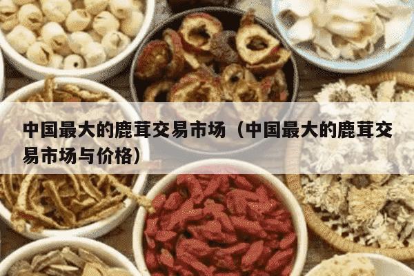中国最大的鹿茸交易市场（中国最大的鹿茸交易市场与价格）