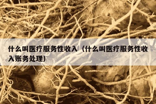 什么叫医疗服务性收入（什么叫医疗服务性收入账务处理）
